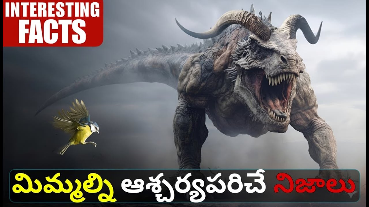 wow 100 Interesting Facts In Telugu | Facts In Telugu new | Telugu Facts | Facts Forever