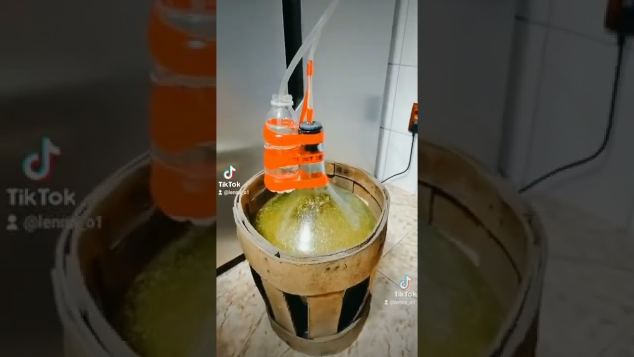 Cum se pregateste vinul de smochine,vedeti reteta pas cu pas👍😏