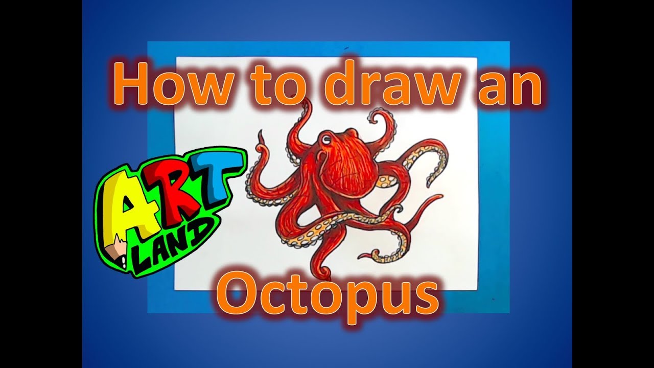 How to Draw an Octopus