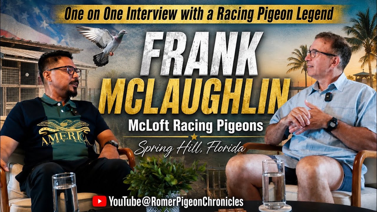 An Interview with Frank McLaughlin