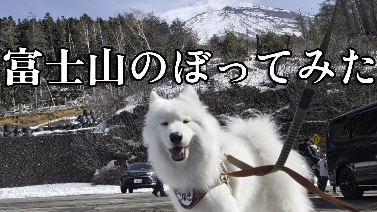 富士山のぼってみた＠2026.02.16