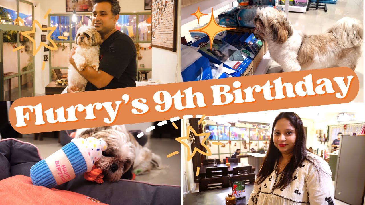 My Shih Tzu's 9th Birthday | Birthday dinner and Birthday Shopping Haul