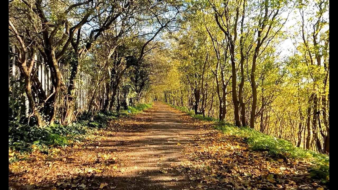 Cycling Castle Hill to Cyclopark