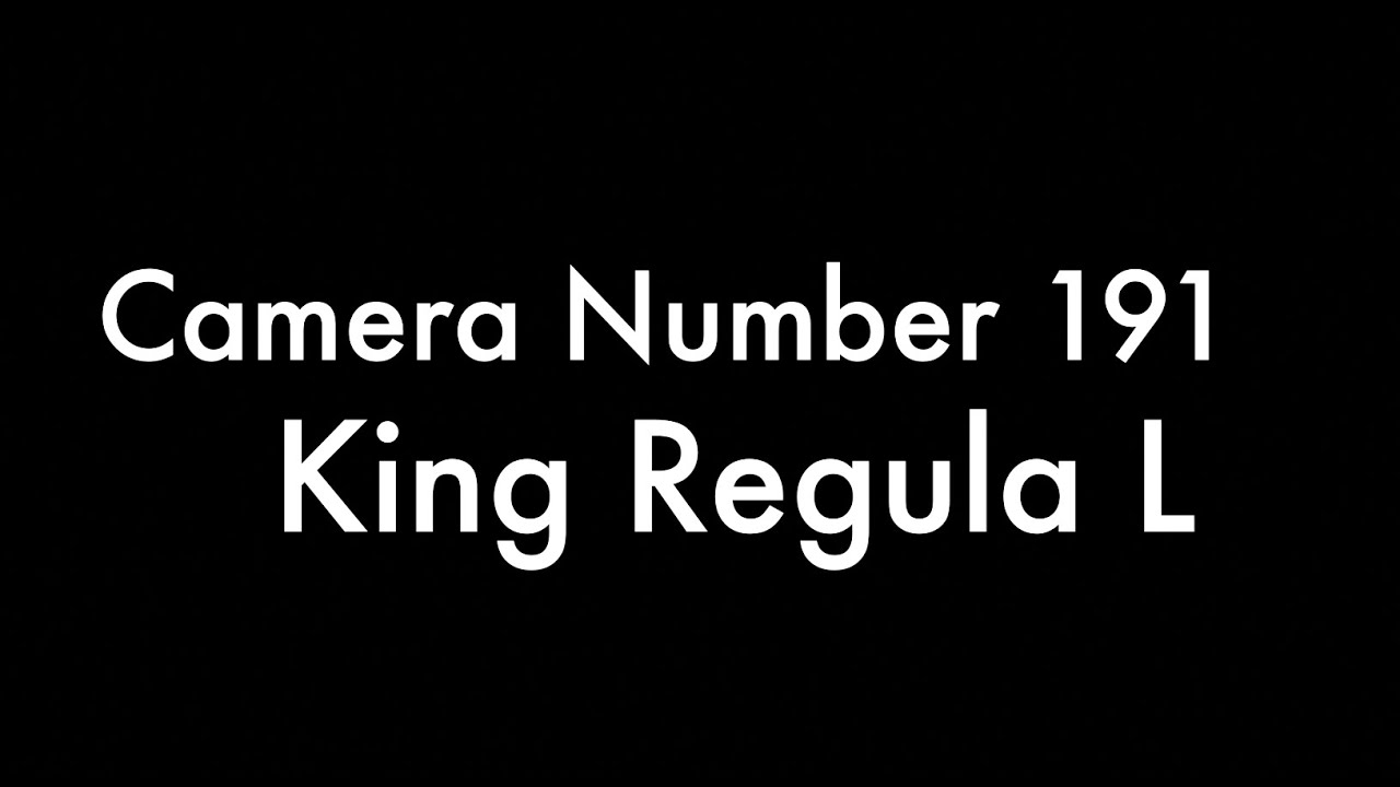 365 Camera Project - Camera 191 King Regula L
