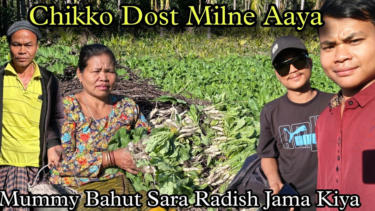 Dost @ChikkoVlogs milne Aaya hai ll Bahut Sara Radish Jama kiya hai ll.