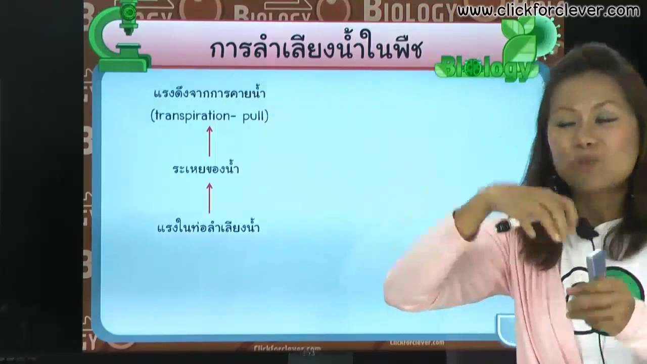 ชีววิทยา : โครงสร้างและหน้าที่ของพืชดอก (Part 3)︱Click for Clever