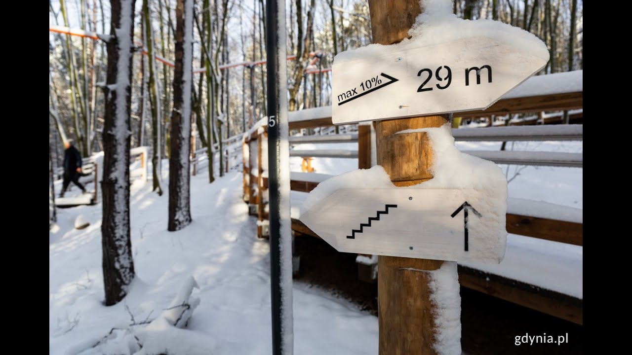 Park leśny na Oksywiu. Nowa przestrzeń bez barier