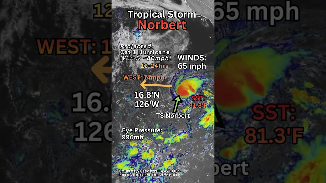 Tropical Storm Norbert Strengthening
