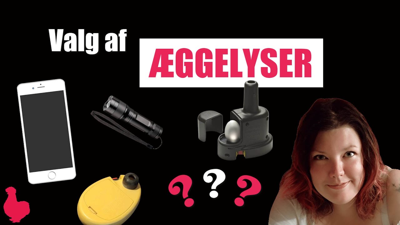 Valg af æggelyser