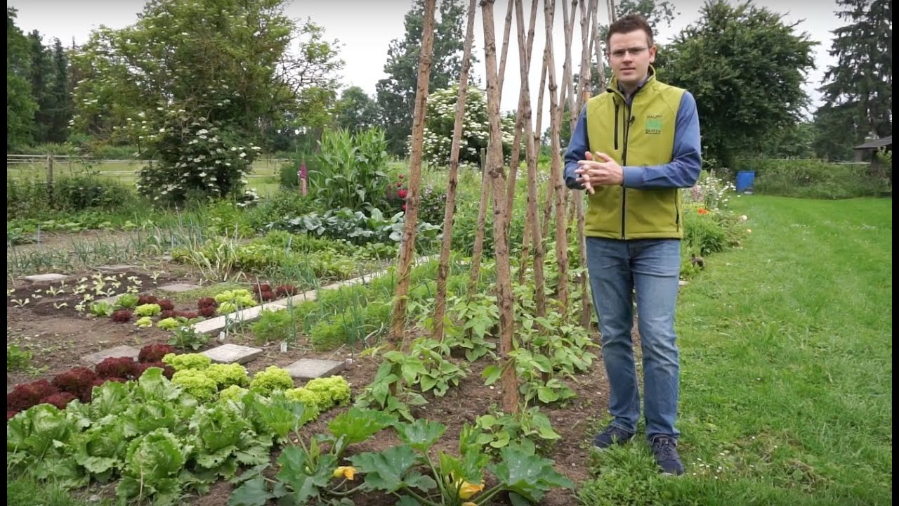 Garten und Gewächshaus im Juni 2016 | rheinlandgarten