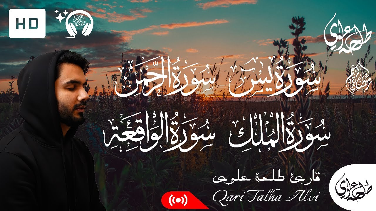 سورة يس + سورة الرحمن + سورة الواقعة + سورة الملك | طلحة علوي