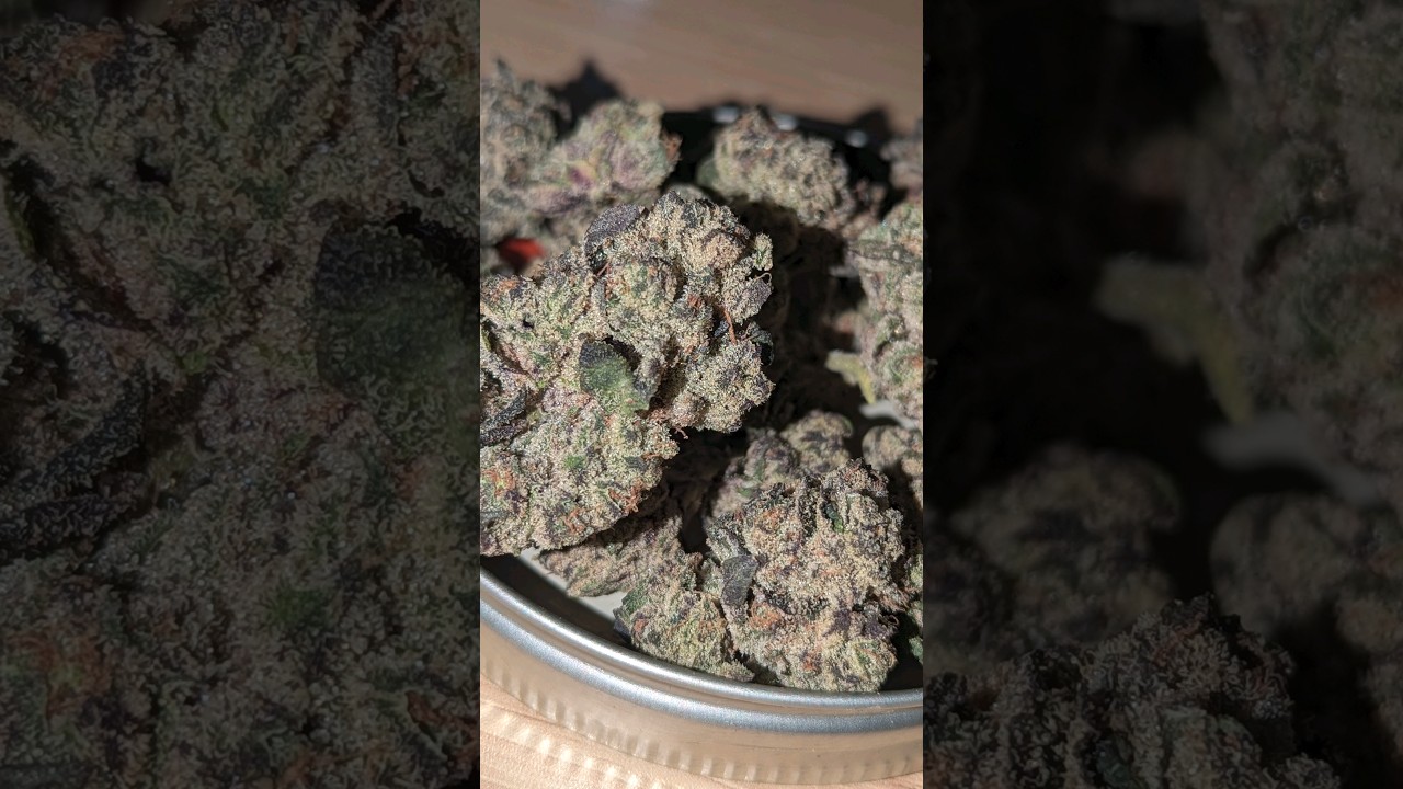 Pearl Pharma Sherb Crasher: Everything You Need To Know!