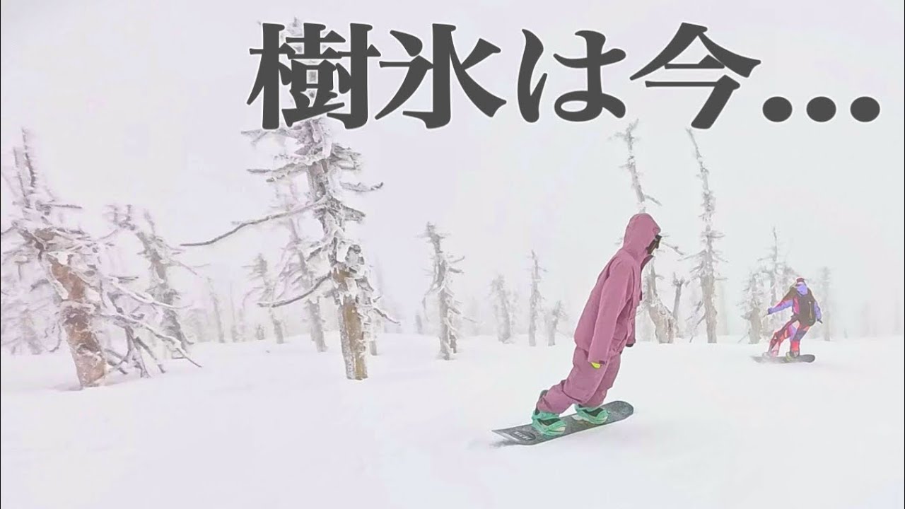 樹氷が有名なゲレンデ！蔵王温泉スキー場を上から下まで滑ってみたよ【ZAO】