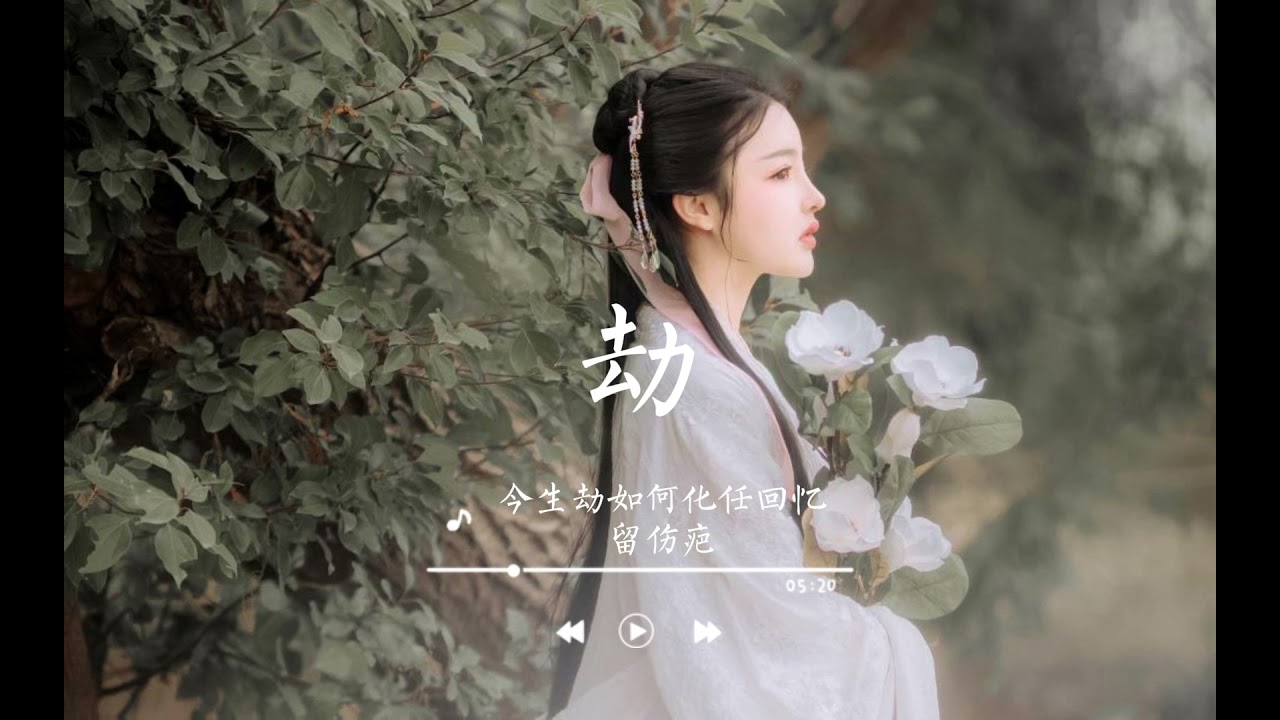 劫-《琉璃》插曲『今生劫，如何化，任回忆留伤疤。』动态歌词/高清无损音乐