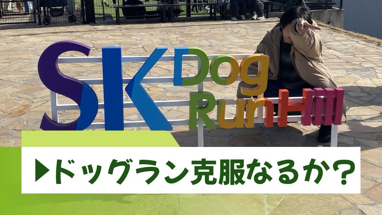 SK DogRunHill