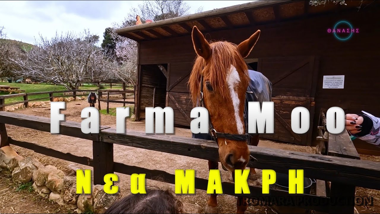 Farma Moo #travel #greece #greek #drone #gopro #gopro10 #mini2
