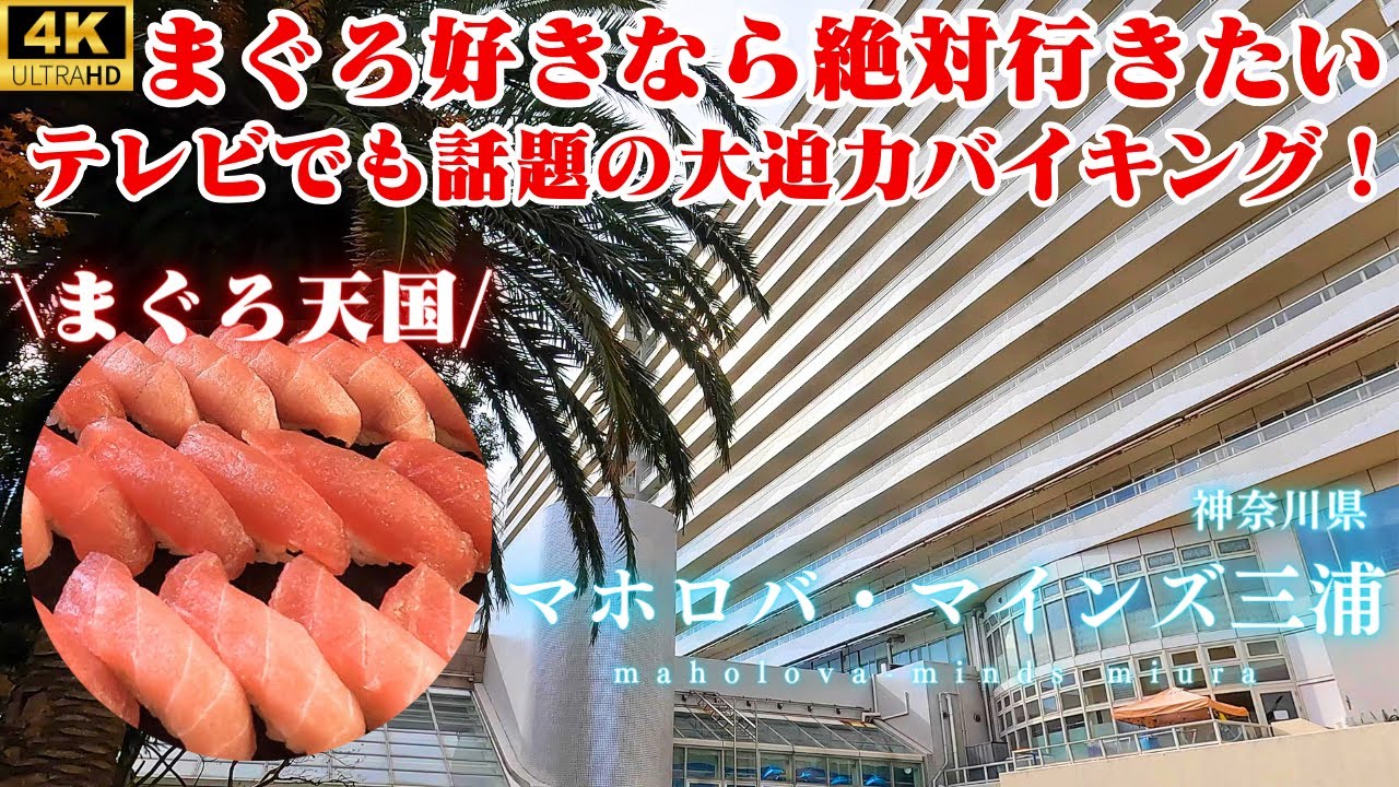 【まぐろ天国】三崎港のマグロ食べ放題！冬もプールで遊べて温泉と豪華バイキングも楽しめる大型リゾートホテル♪オーシャンビューの広ーいお部屋で子連れ旅にもおすすめ！【マホロバ・マインズ三浦スカイスイート】
