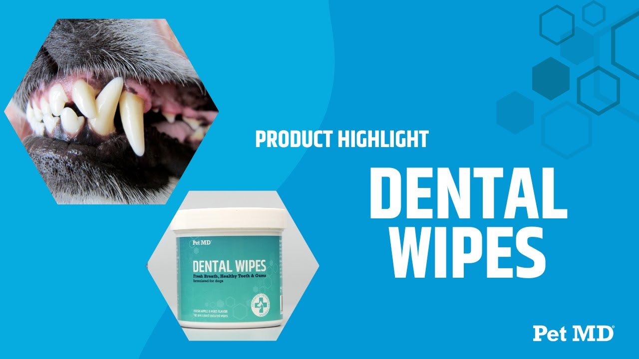 Why Your Dog Needs Pet MD Dental Wipes
