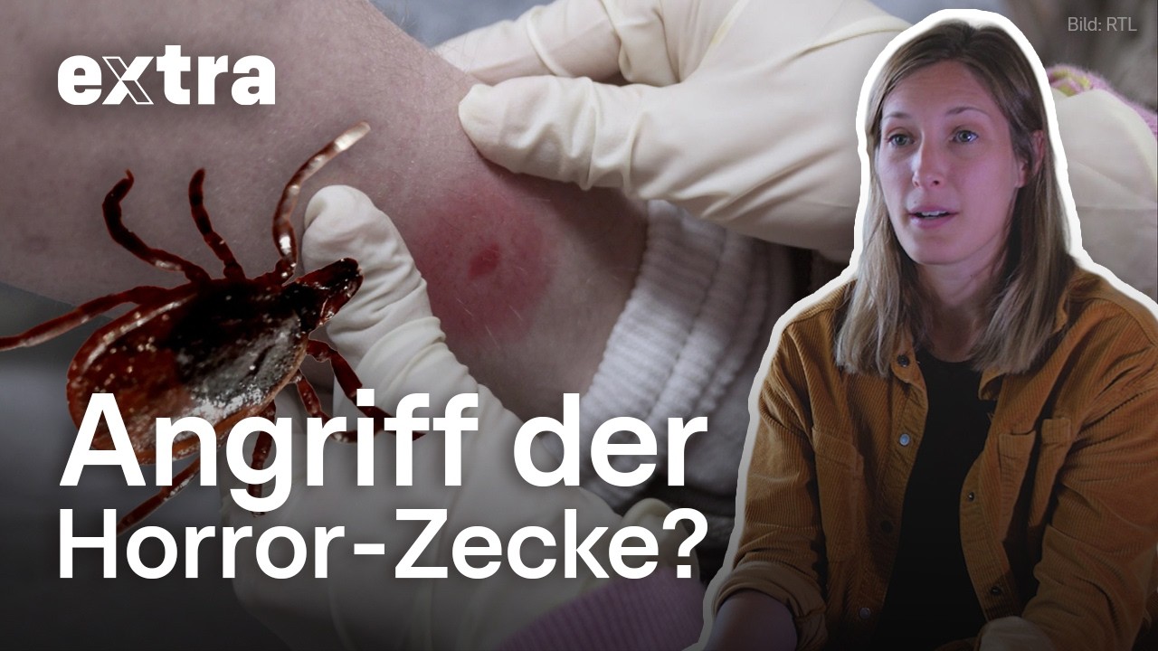 Der große Zecken-Report | EXTRA - Das Magazin