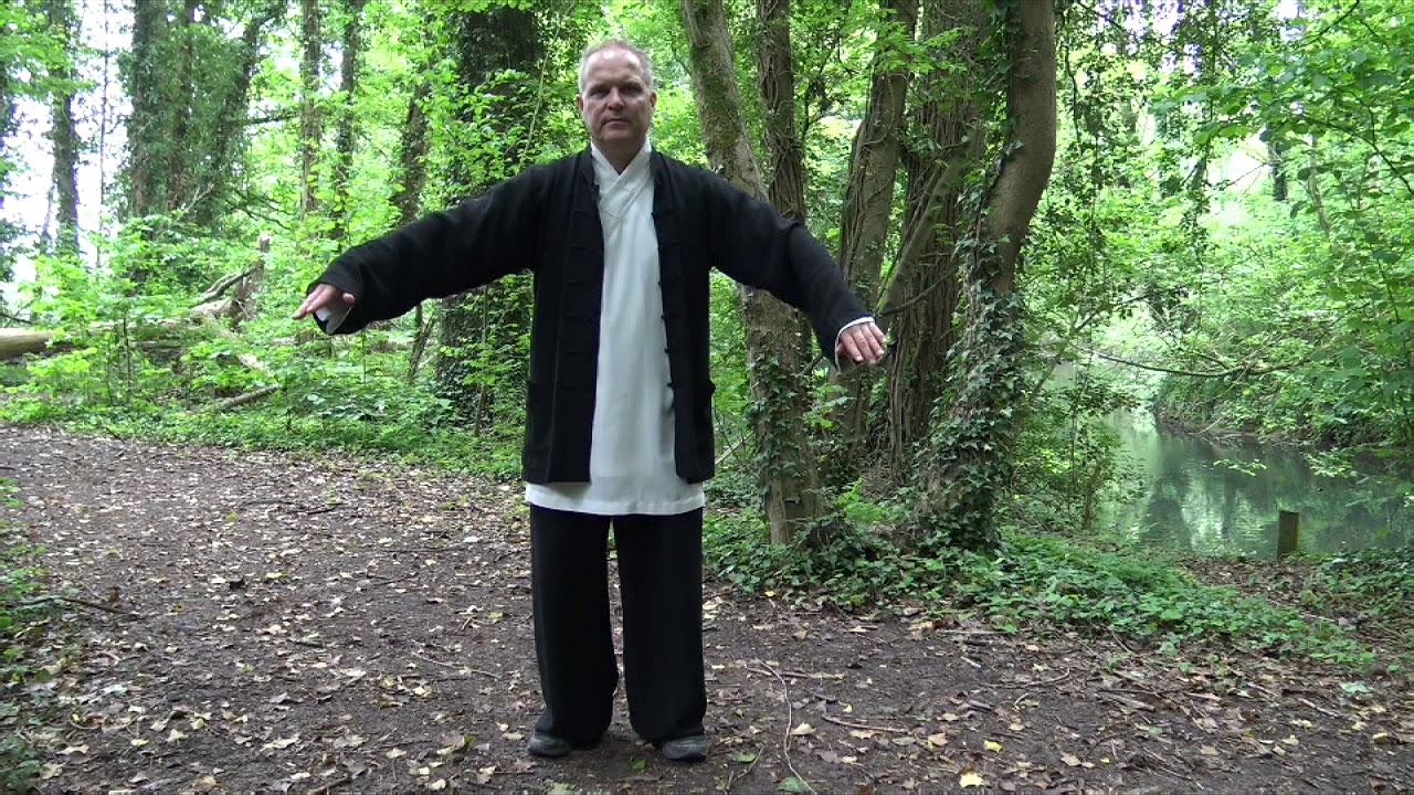 La voie du TAO ...La grue du Wudang (coeur) Educatifs de la 2ème technique