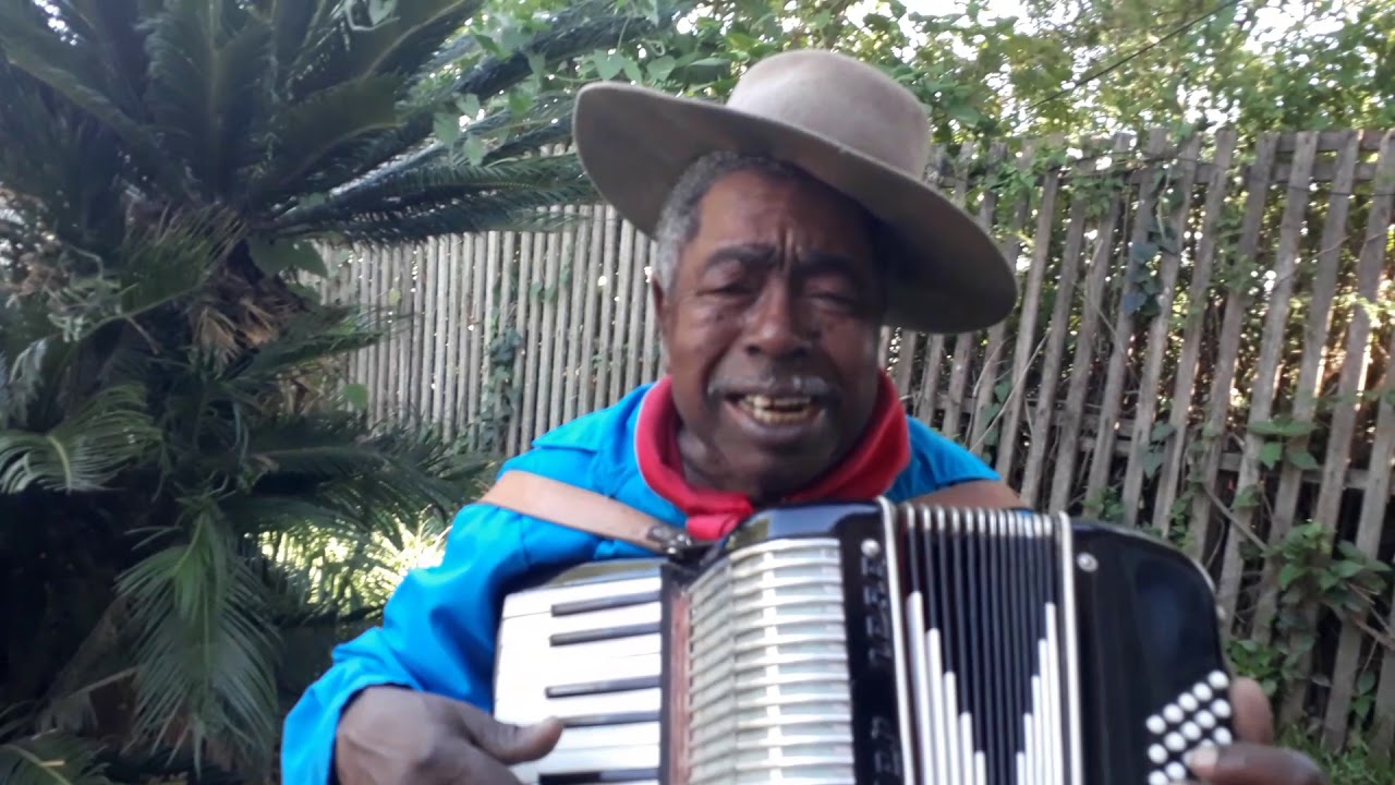 Criolo da querencia  cavalo picaco