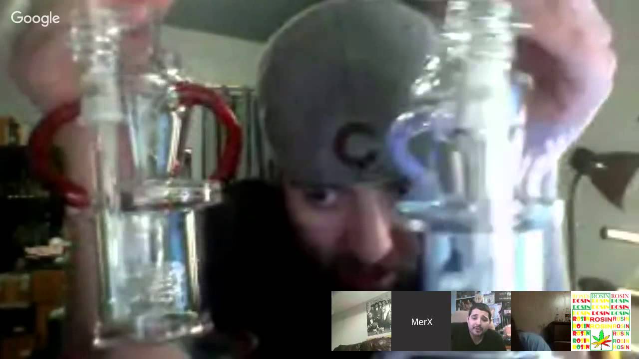 WE'RE STILL HERE GMO (GLOB MOB OFFICIAL)