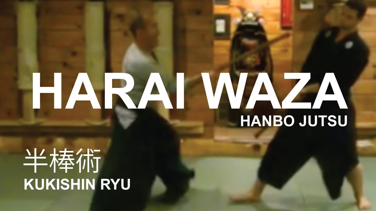 Hanbojutsu: Harai Waza 払い技 Stick fighting technique of the Kukishin Ryu