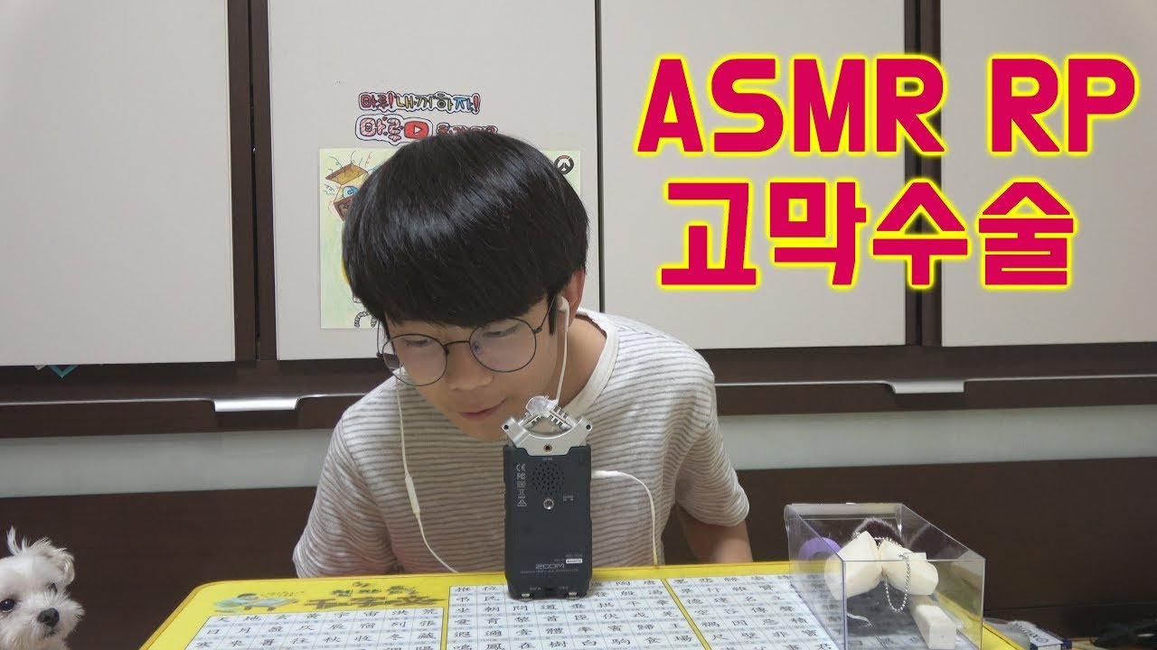 Maru &마루TV ASMR 고막이식수술 롤플레이 (Tympanic surgery RP)