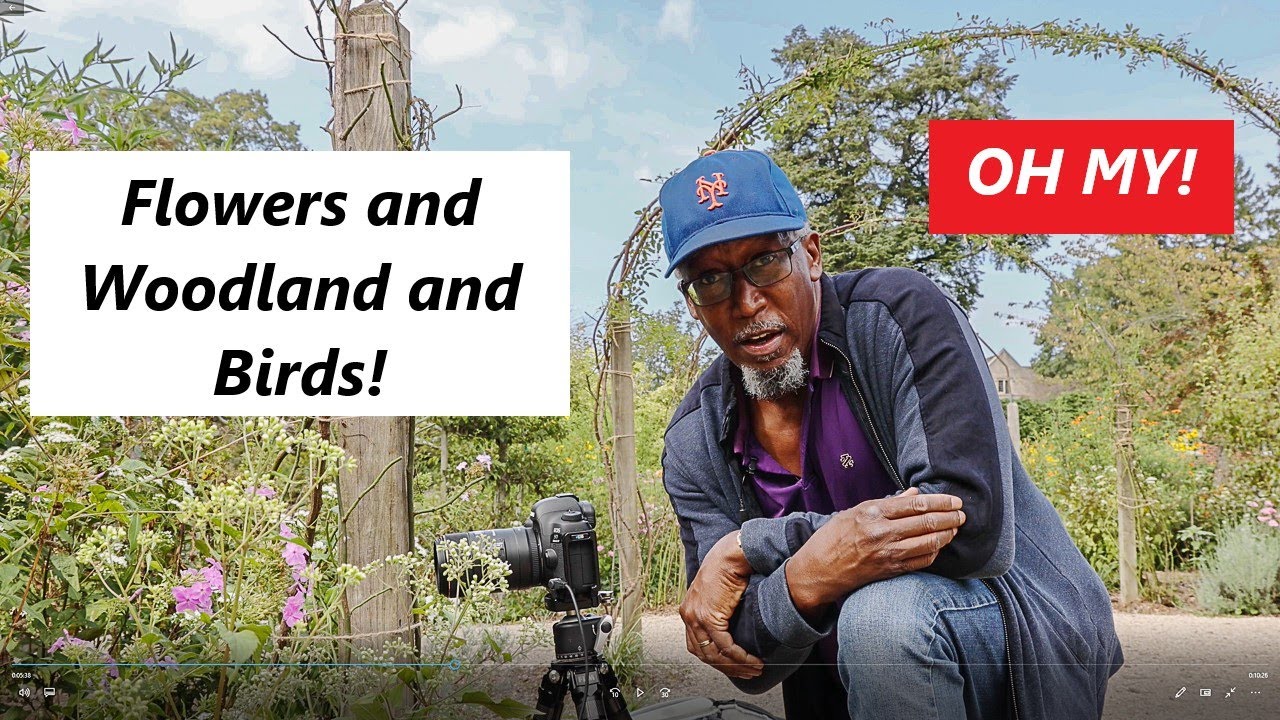First Shoot with Canon R6: Video and Landscape Photography