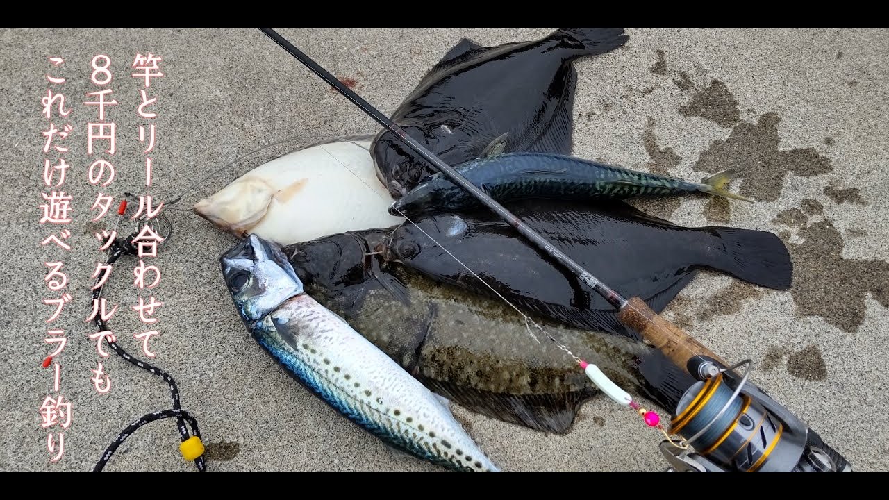 【ブラーゲーム】安い道具でも十分楽しめる！！【水中映像あり】道南　函館　南茅部　R031016