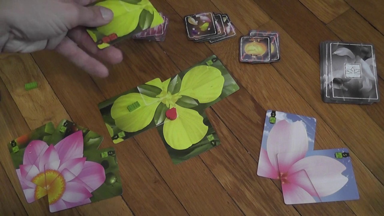 Lotus (Renegade Games) Review