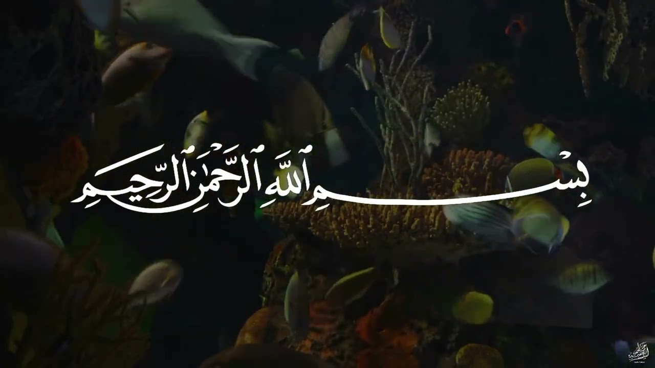 سورة يس   عبدالباسط عبدالصمد  SURAH YASIN   Abdulbasit Abdussamad