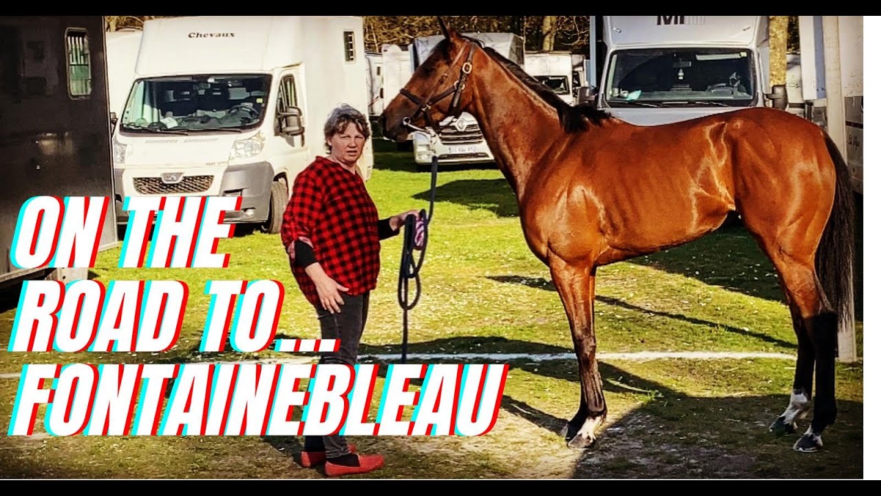 The road to Fontainebleau