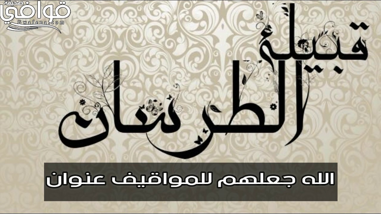 شيلة إهداء لـ قبيلة الطرسان من حرب كلمات / عارف بن هذال  أداء/ معاذ الحربي