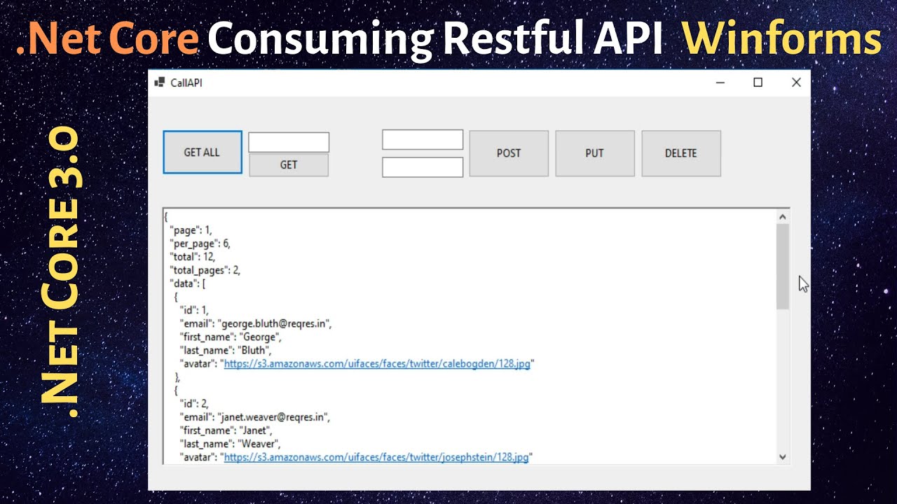 .NetCore Winforms (Desktop application) - Consuming Restful API Services - Step By Step