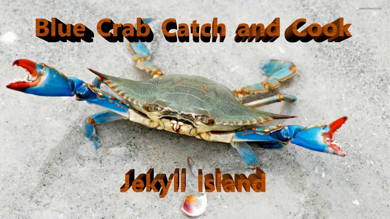 Blue Crab Catch and Cook on Jekyll Island