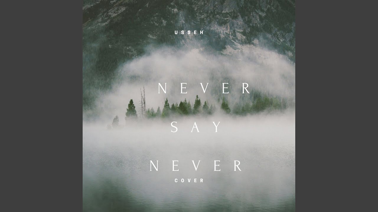 Never Say Never