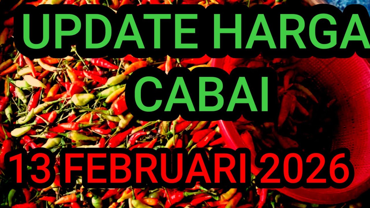 Update harga cabe rawit hari ini 13 Februari 2026 di pasar induk pare kediri jawa timur 