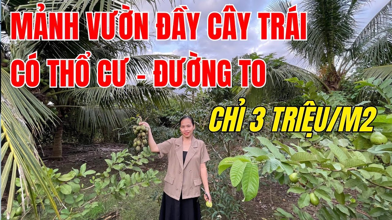 KHÔNG TIN NỔI! Nhà vườn 1.285m² gần Nha Trang – Giá chỉ 3,6 TỶ