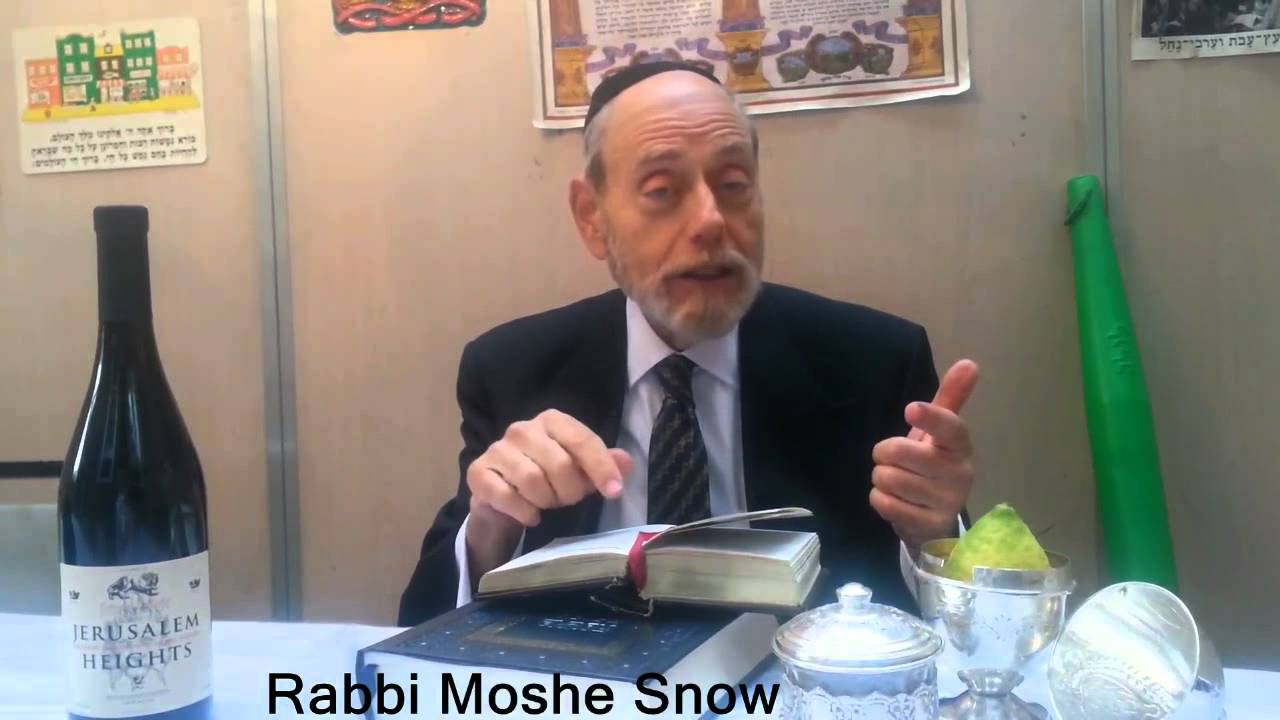 Shabbos Chol HaMoed Succos 5776