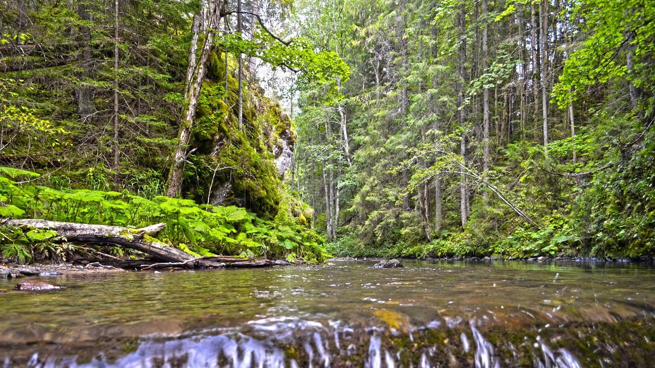 Fly fishing in Slovakia - River Treasures of Slovakia-flyfishing-slovakia.com #flyfishinginslovakia