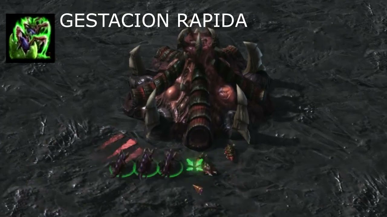 GESTACION RAPIDA ZERGUEZNO HORDEZNO HABILIDADES