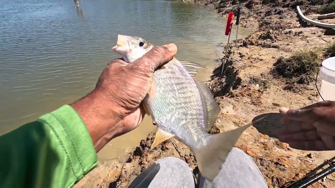 Rapid Fire Fishing With Chino & Greg