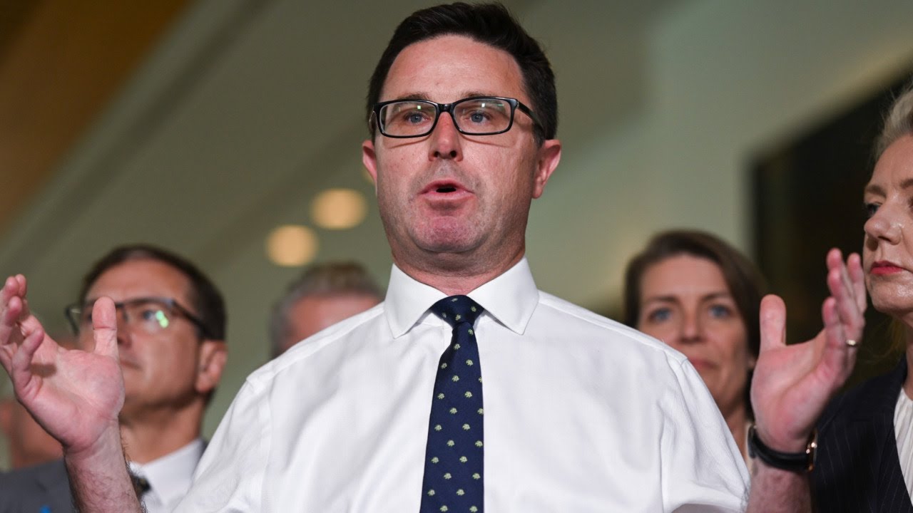 &lsquo;Delaying tactic&rsquo;: Nationals &lsquo;avoiding transitioning&rsquo; to renewables with nuclear debate
