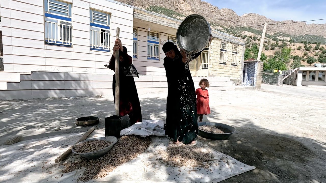 **The Miracle of Oak: Making Oak Bread and Making Dough in Nomadic Life
