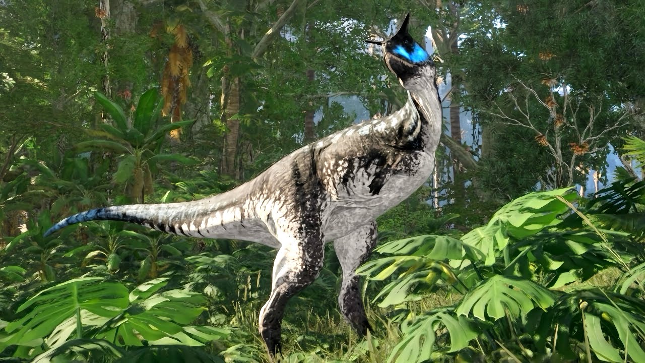 It's Been a While... Let's Play Solo Carno
