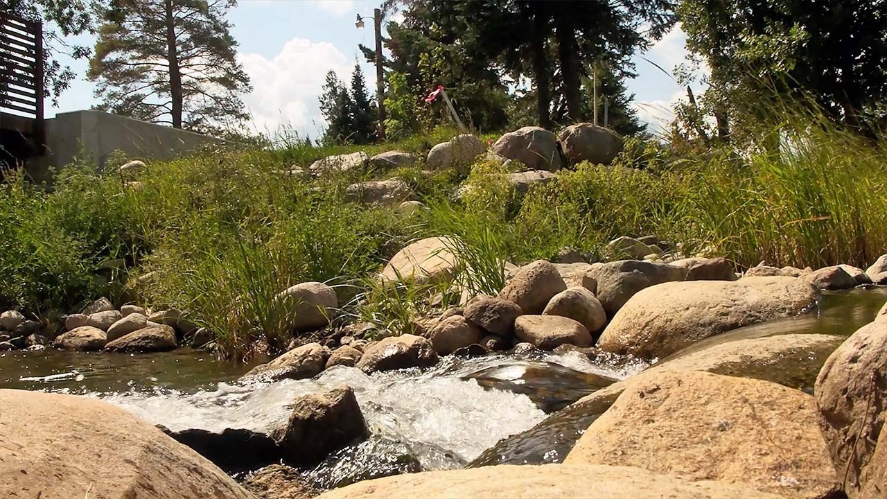Low Water Levels Across Woman Lake Chain Near Longville Raising Concerns | Lakeland News