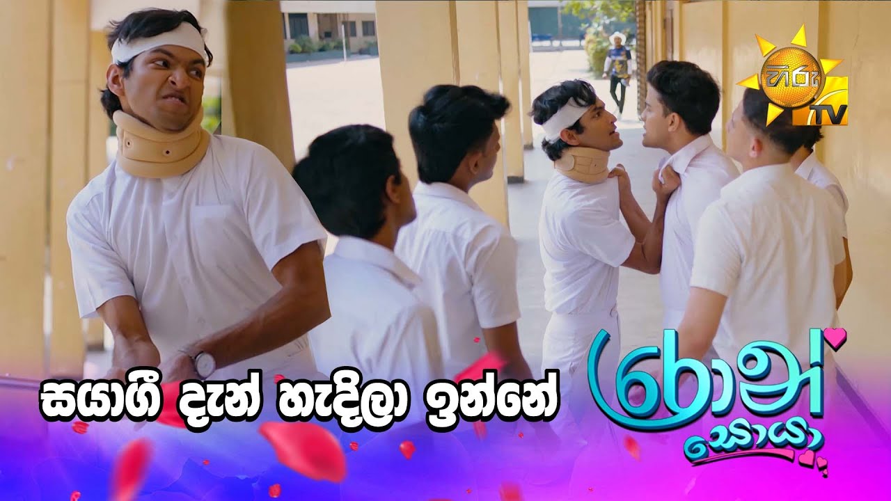 සයාගී දැන් හැදිලා ඉන්නේ