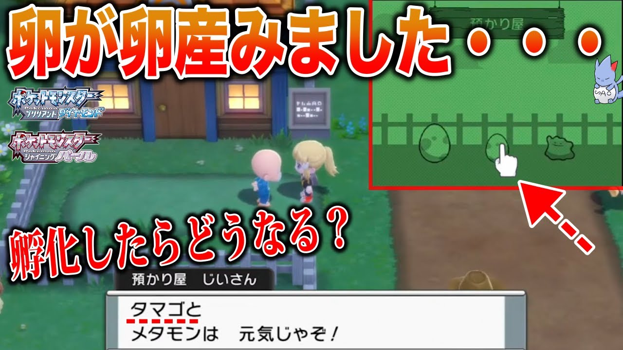 【生命創造】タマゴがタマゴを出産したので、何が生まれるのか検証したら・・・【ポケモンBDSP/レジェンズ/バグ】