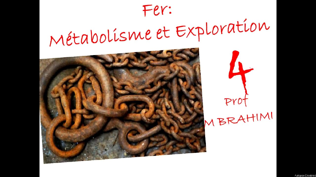 FER: MÉTABOLISME ET EXPLORATION [4]